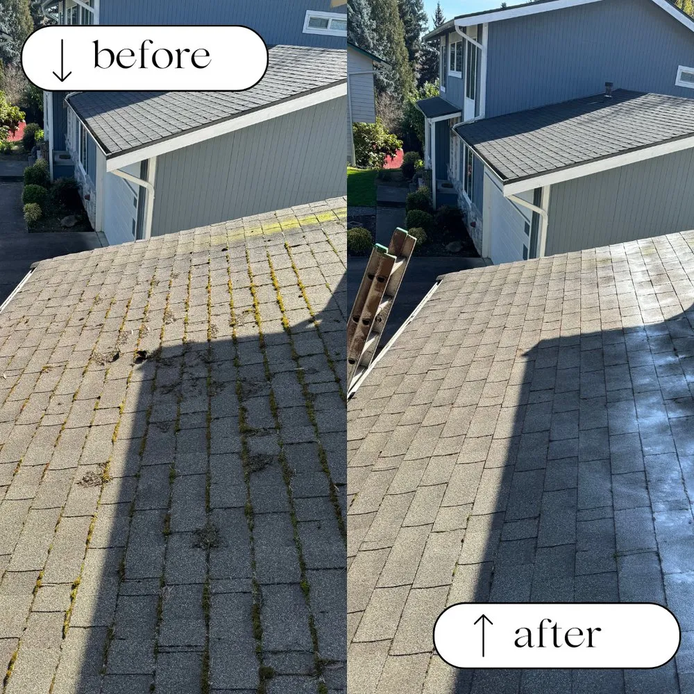 Slide of Pacific Peak Pro Wash