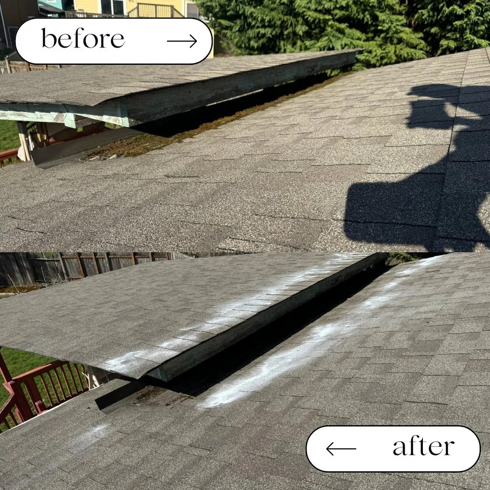 Slide of Pacific Peak Pro Wash