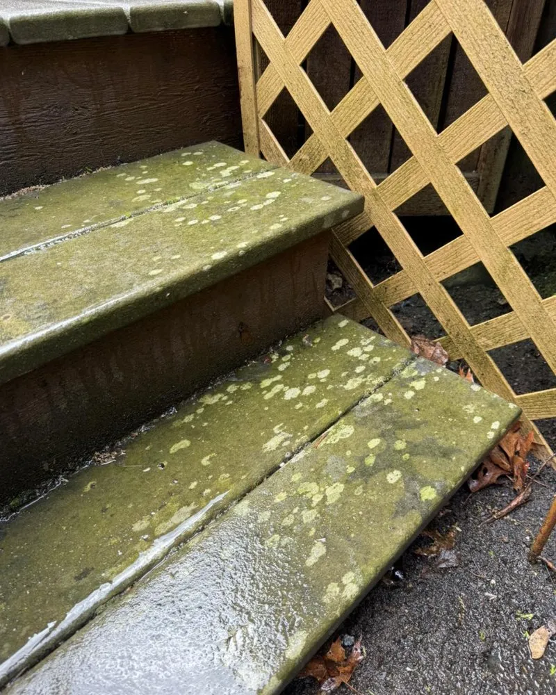 Slide of Pacific Peak Pro Wash