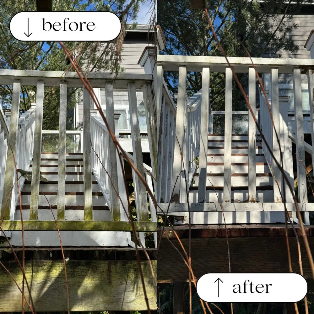 Slide of Pacific Peak Pro Wash