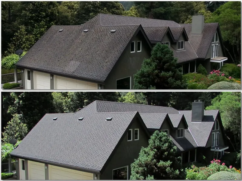 Slide of Pacific Roof Cleaning