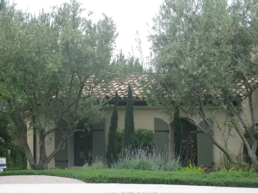 Slide of Pacific Roof Design