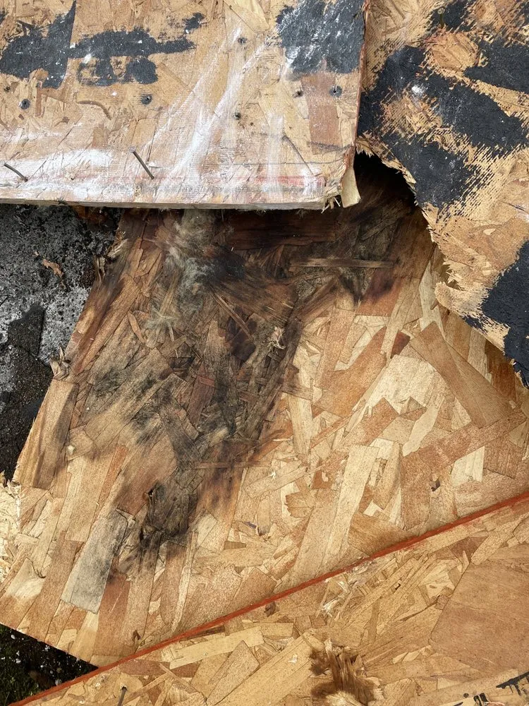 Slide of Pacific Roofing & Maintenance