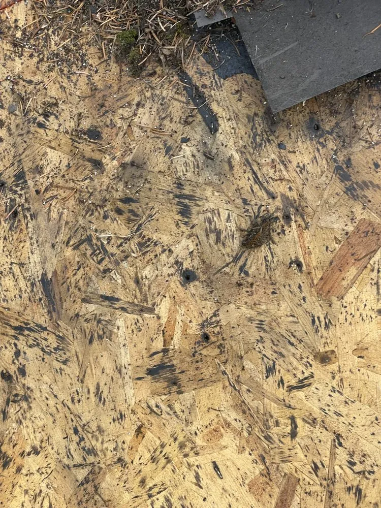 Slide of Pacific Roofing & Maintenance