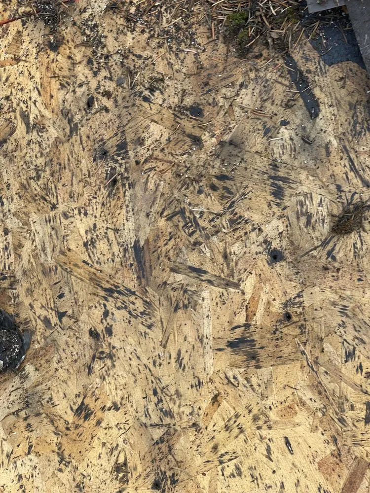 Slide of Pacific Roofing & Maintenance