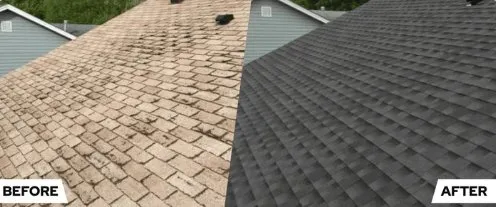 Licensed shingle roofing service in Encino, CA - Pacific Roofs