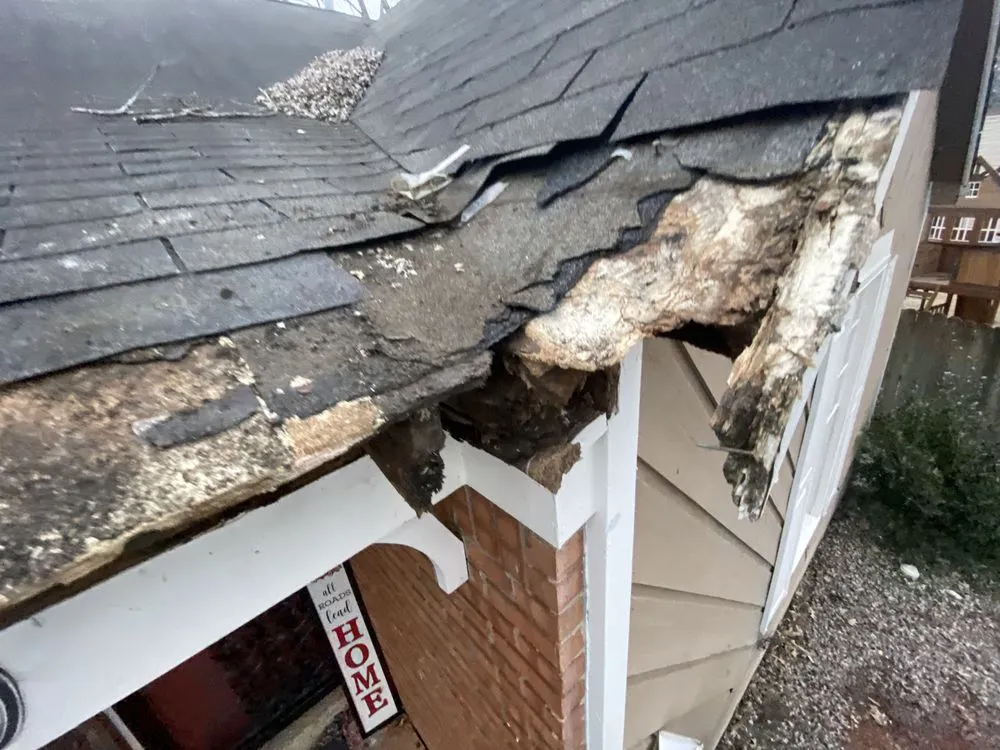 Slide of Paco The Fixer Pro