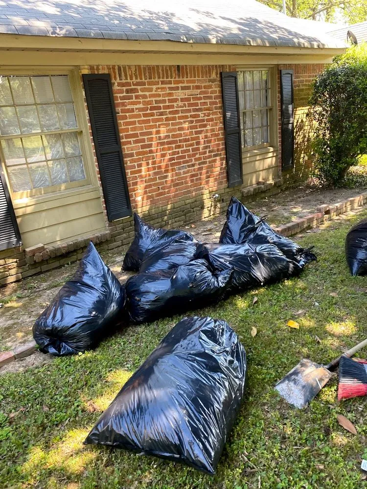 Slide of Paco The Fixer Pro