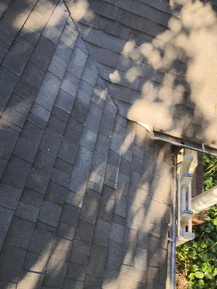 Slide of Paco The Fixer Pro