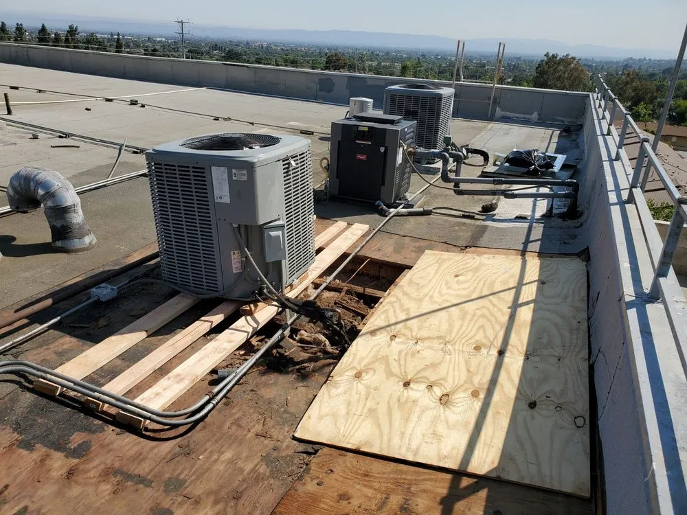 Slide of Paddy Roofing