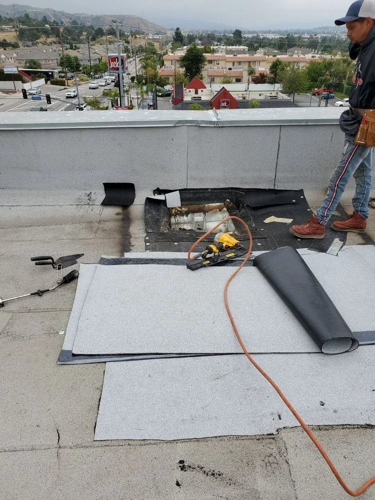 Slide of Paddy Roofing