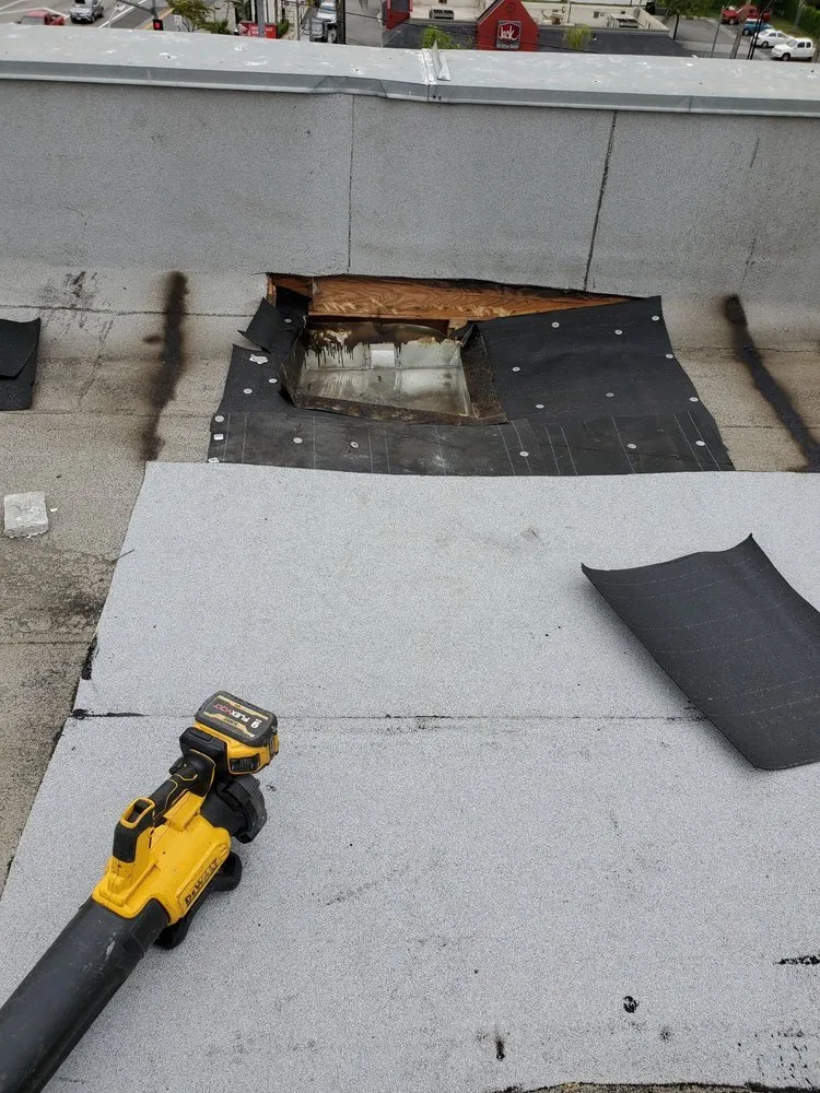 Slide of Paddy Roofing