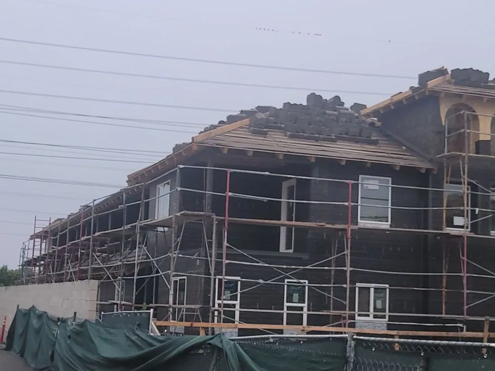 Slide of Paddy Roofing