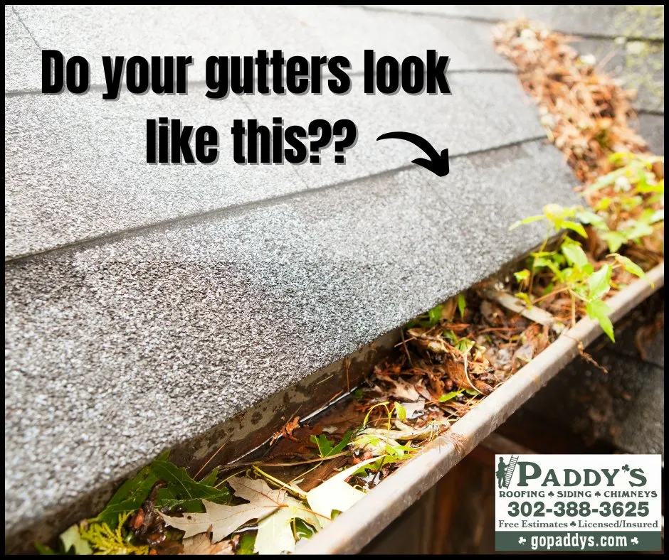 Slide of Paddy's Roofing, Siding, and Chimneys