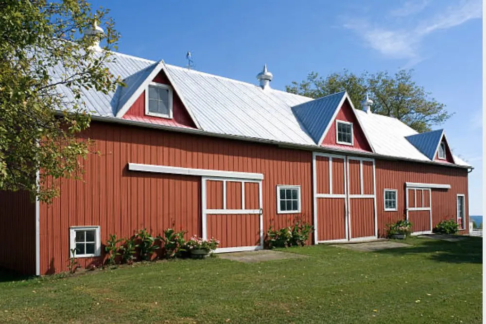 Slide of Paint Kingz