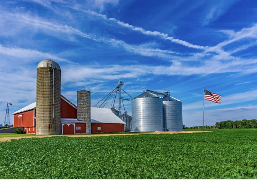 Slide of Paint Kingz