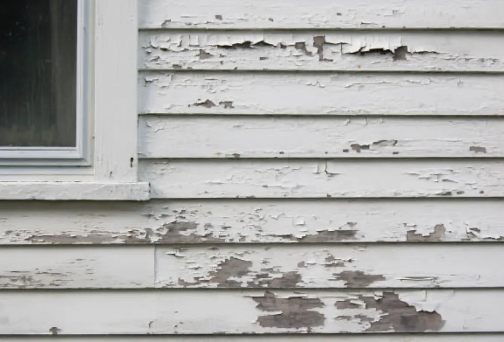 Slide of Paint Kingz