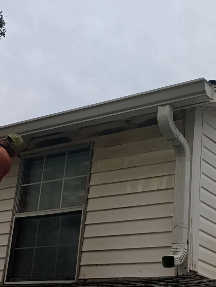 Slide of Painting & Handyman Services