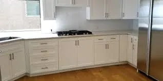 Slide of Painting & Remodeling The World With Dominic