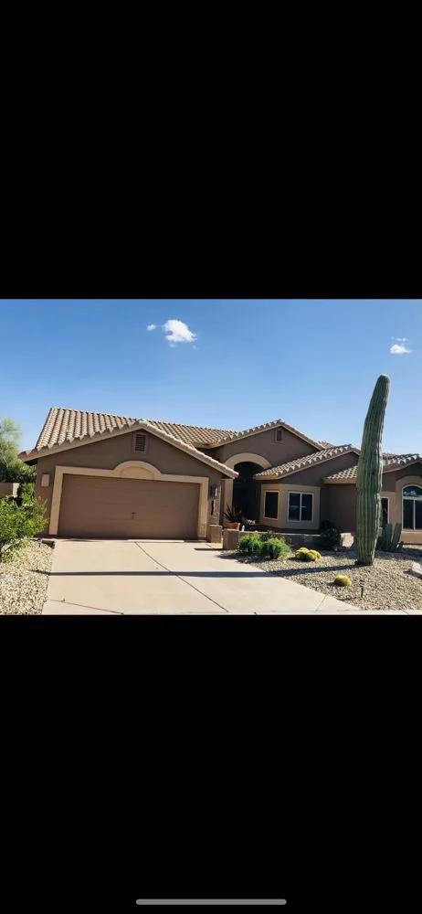 Slide of Painting Of All Types