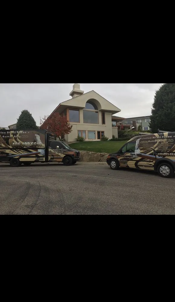 Slide of Painting Of All Types