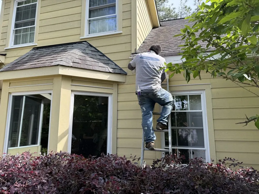 Slide of Painting Plus