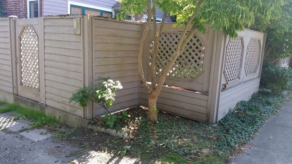 Slide of Paintings USA