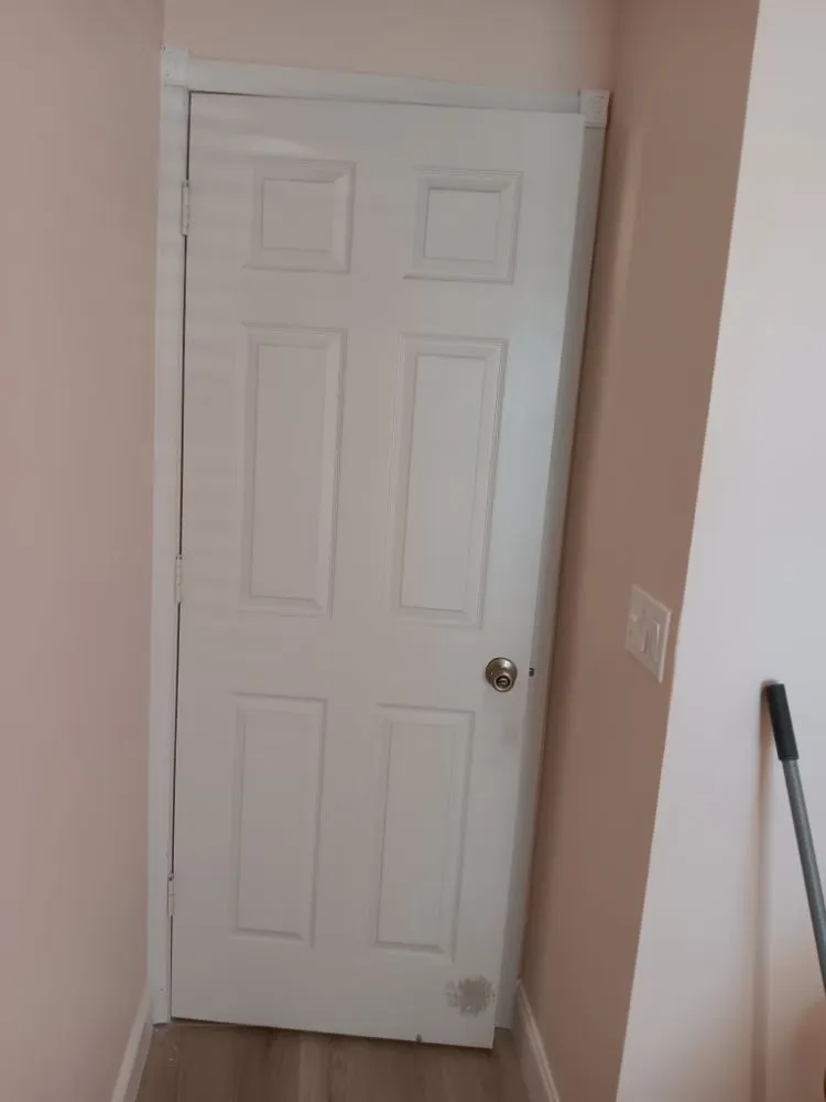 Slide of Pakmarica Painters Florida