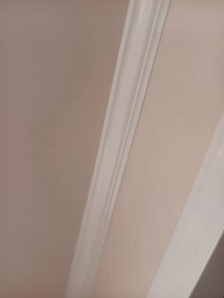 Slide of Pakmarica Painters Florida