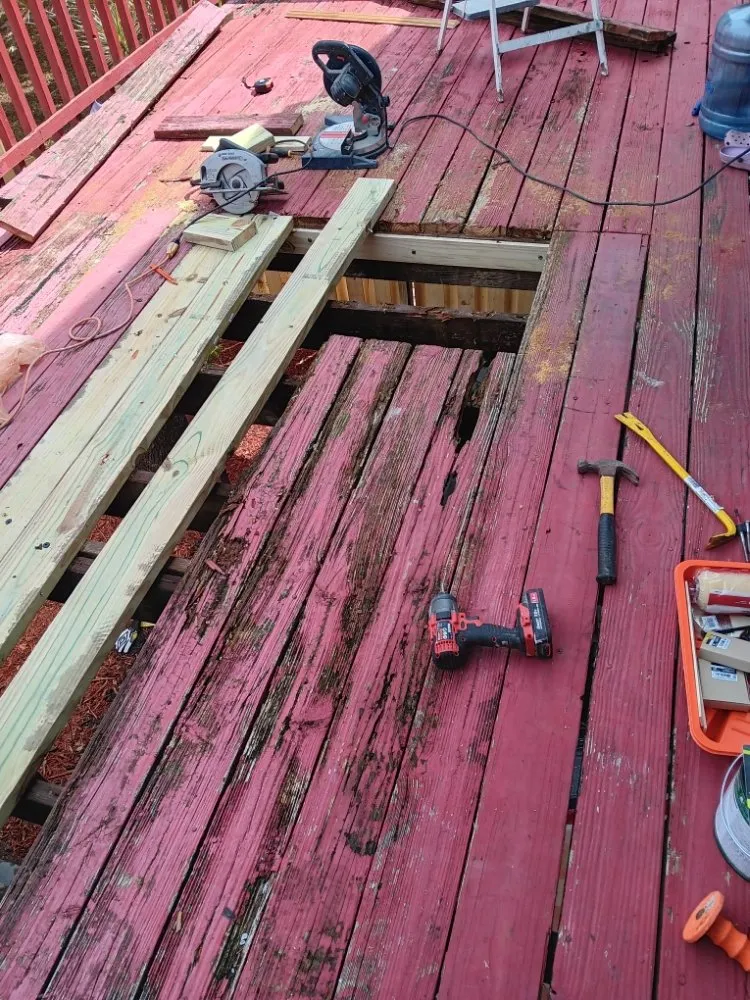 Slide of Pakmarica Painters Florida