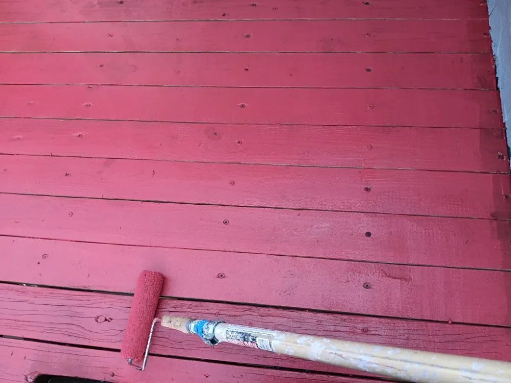 Slide of Pakmarica Painters Florida