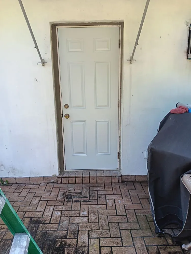 Slide of Pakmarica Painters Florida