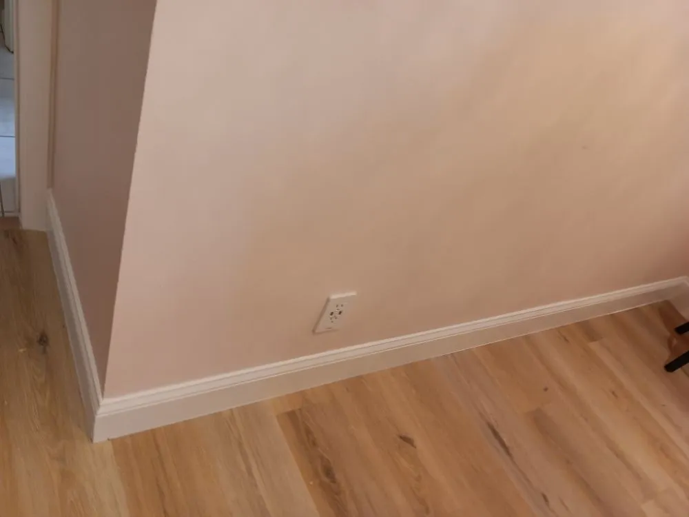 Slide of Pakmarica Painters Florida