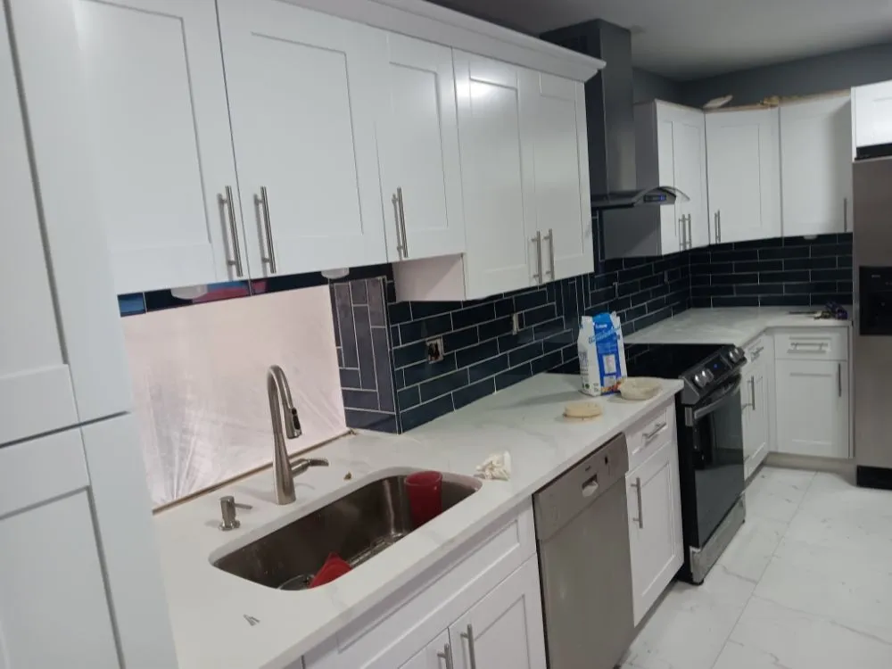 Slide of Pakmarica Painters Florida