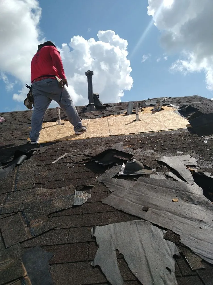 Slide of Palace custom remodeling