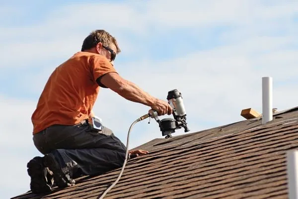 Palace Restoration Logo