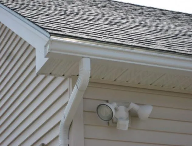 Slide of Palace Roofing