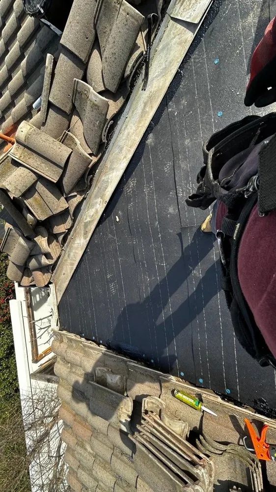 Slide of PALACIO Roofing