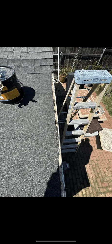 Slide of PALACIO Roofing