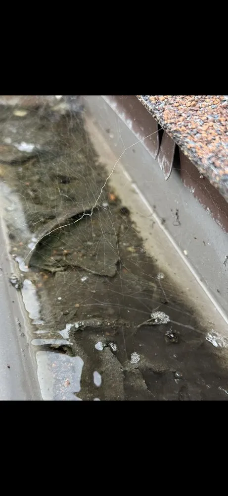 Slide of PALACIO Roofing