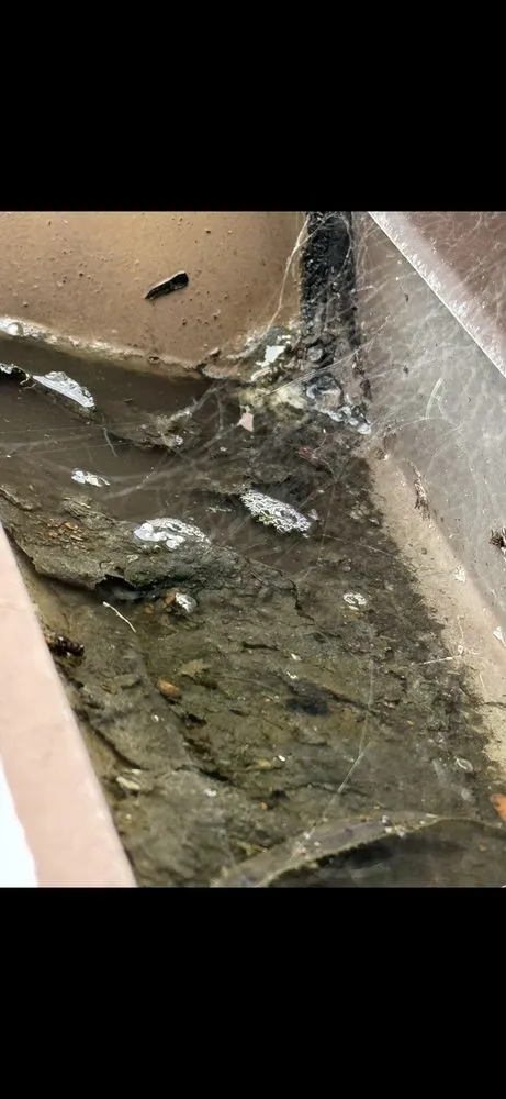 Slide of PALACIO Roofing