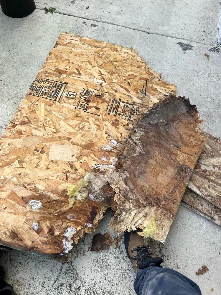 Slide of PALACIO Roofing