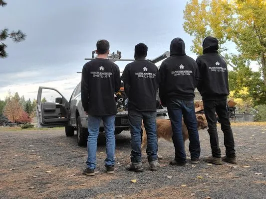 Paladin Roofing Logo