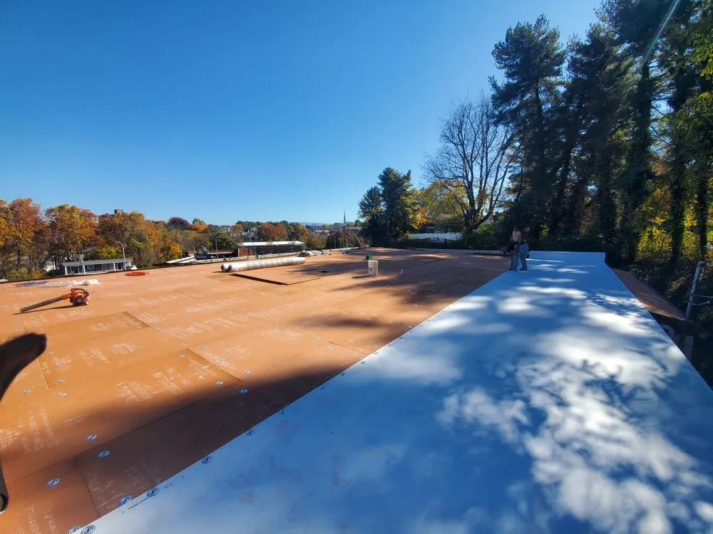 Slide of Palisade Roofing