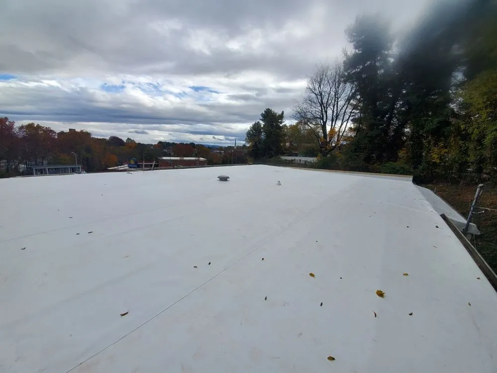 Slide of Palisade Roofing