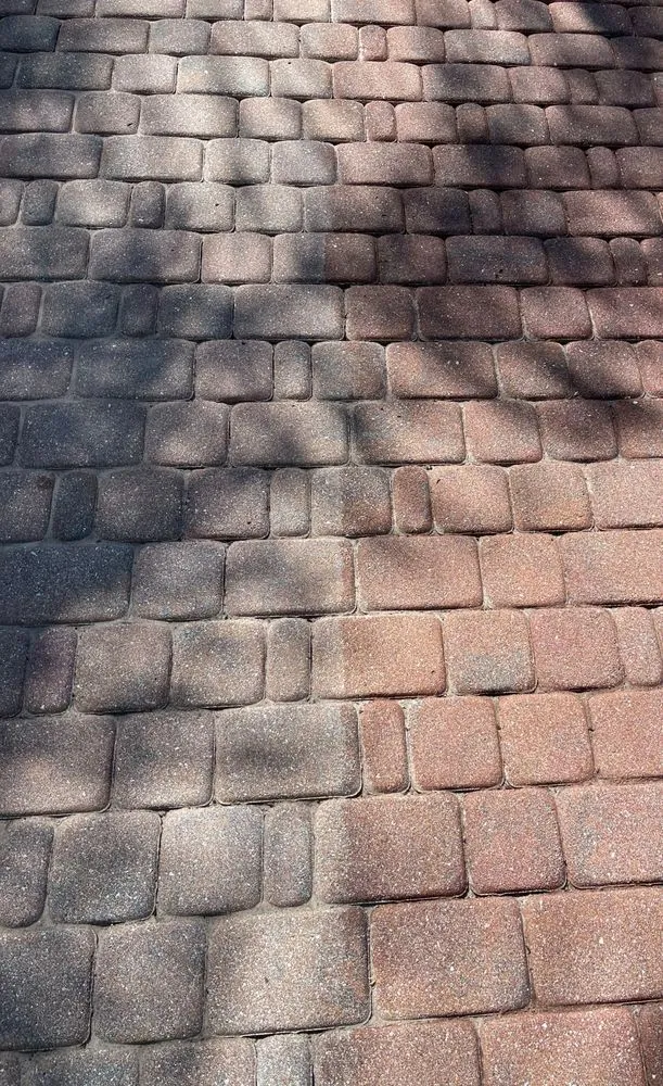 Slide of Palm City Wash N Seal