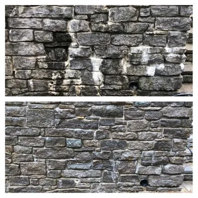 Palm City Wash N Seal Logo