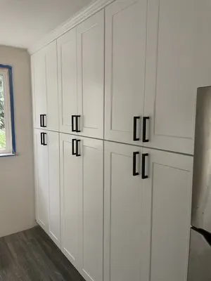 Palm Renovation Logo