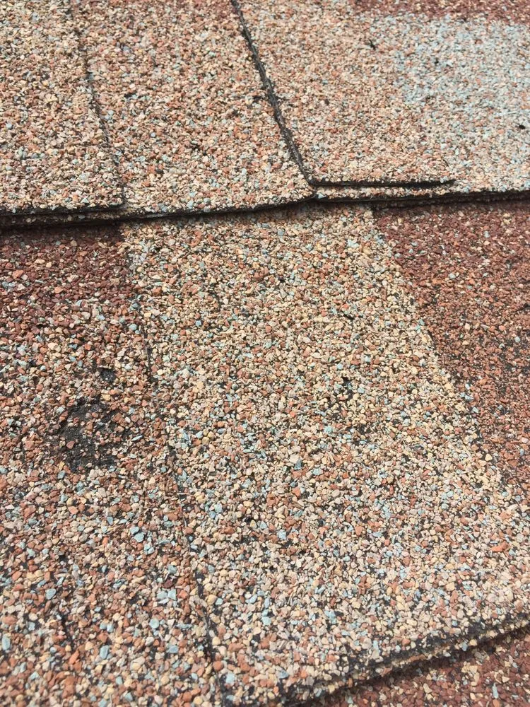 Slide of Palm Roof Company