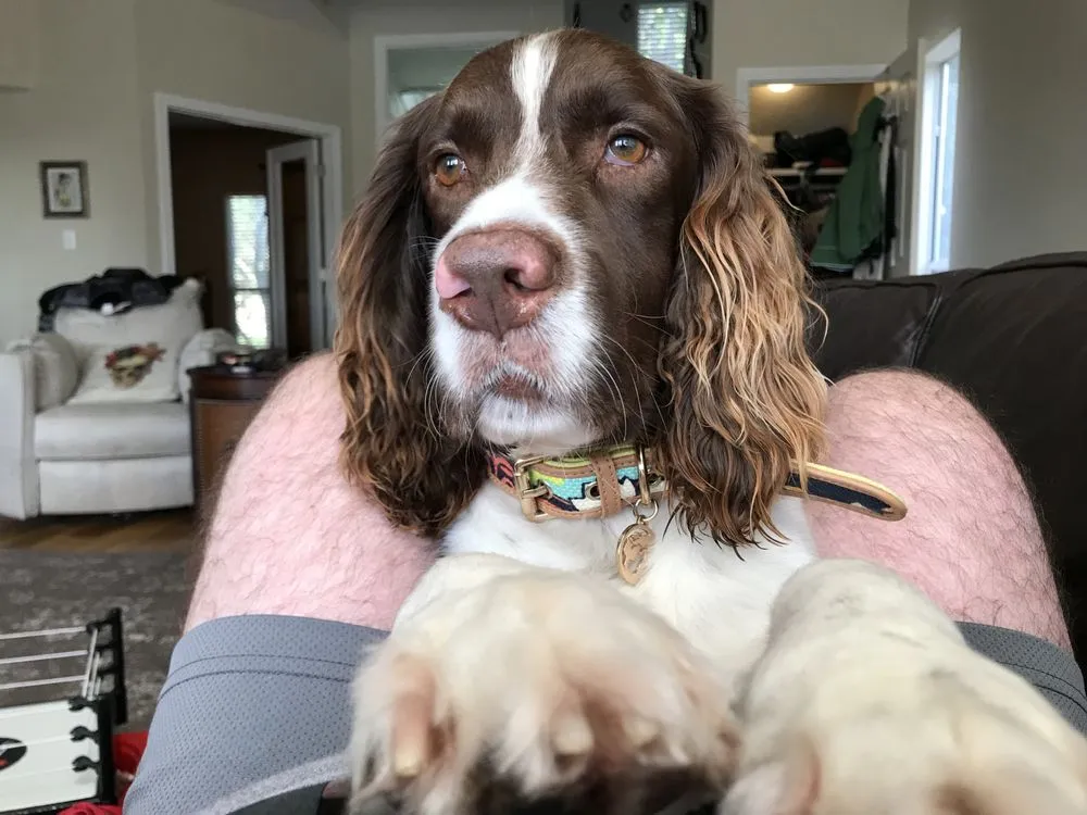 Slide of Palm Roof Company